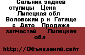 Сальник задней ступицы › Цена ­ 800 - Липецкая обл., Воловский р-н, Гатище с. Авто » Продажа запчастей   . Липецкая обл.